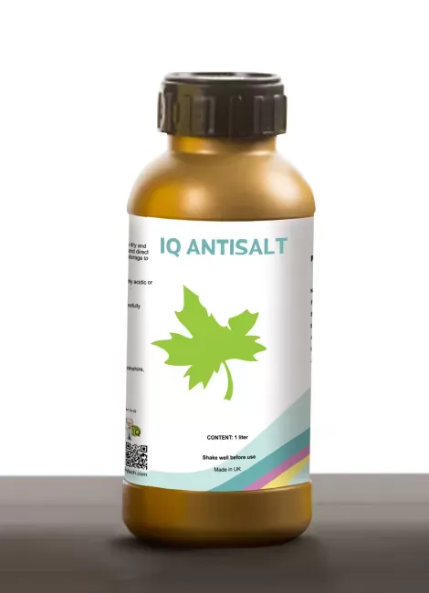 IQ Antisalt